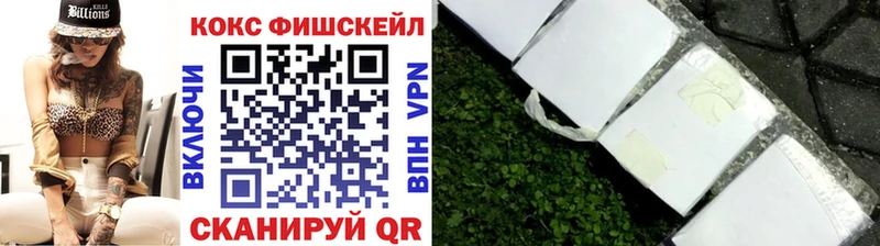 Cocaine FishScale  Купить где  Карабулак 