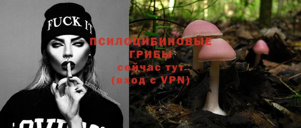 тгк Семёнов