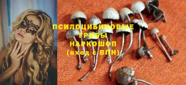тгк Семёнов