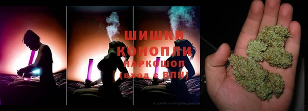 тгк Семёнов