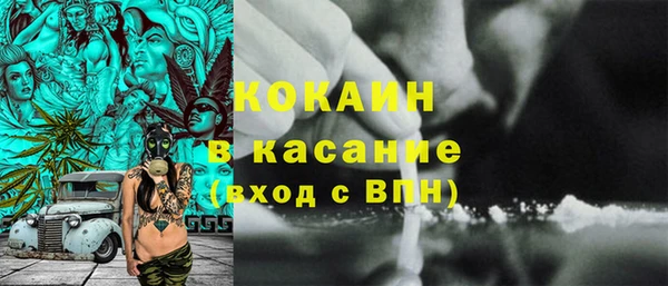 тгк Семёнов