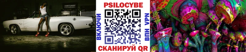 Псилоцибиновые грибы мицелий  Купить где  Карабулак 